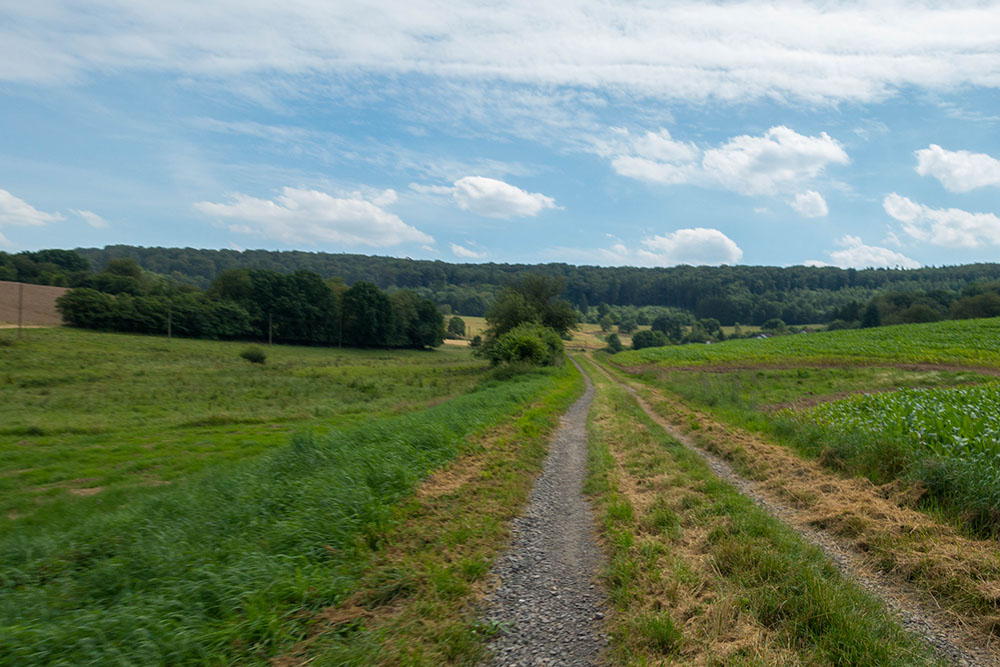 ... geht es durch Feld und Flur