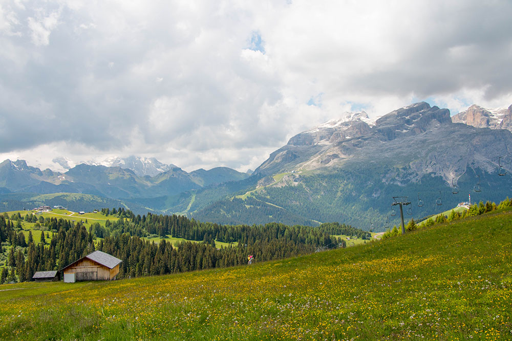 Schöner Blick