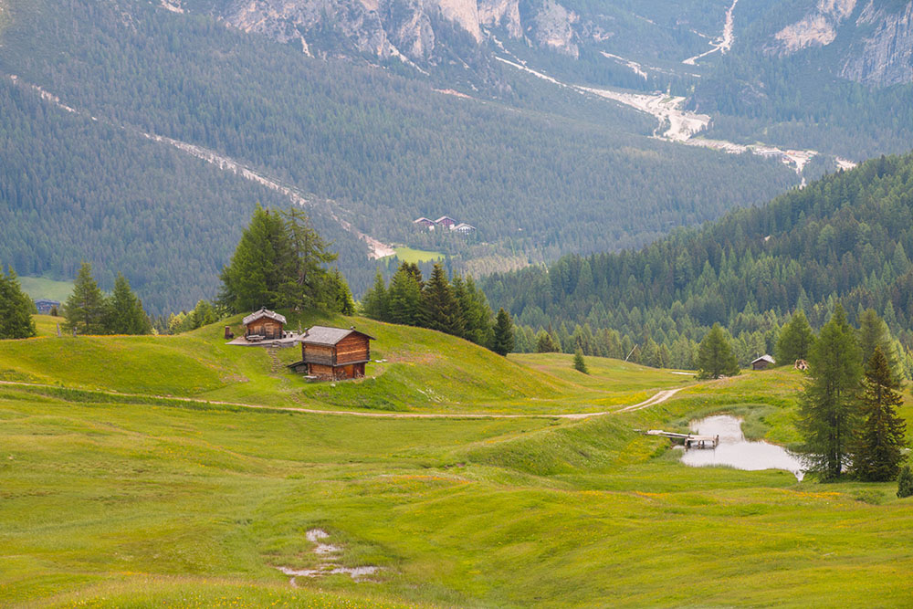 Die Hütte mit Teich ...