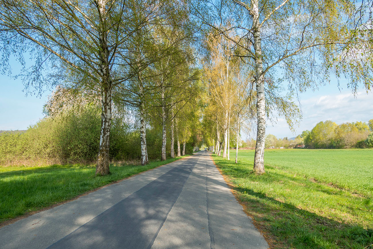 Schmale Allee 