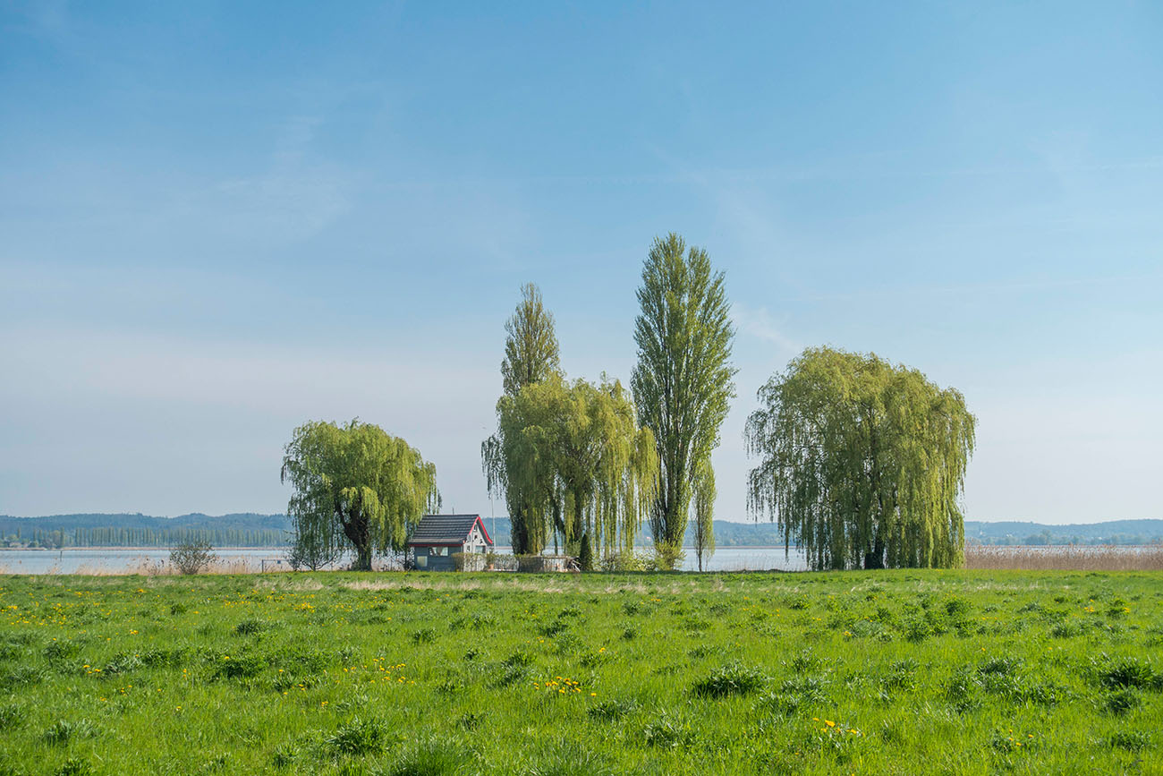 Hütte am See 