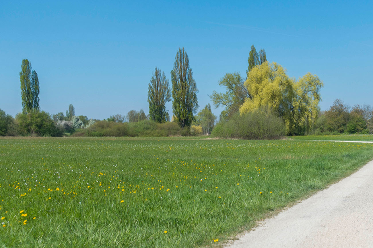 Blau und grün herrschen hier vor 