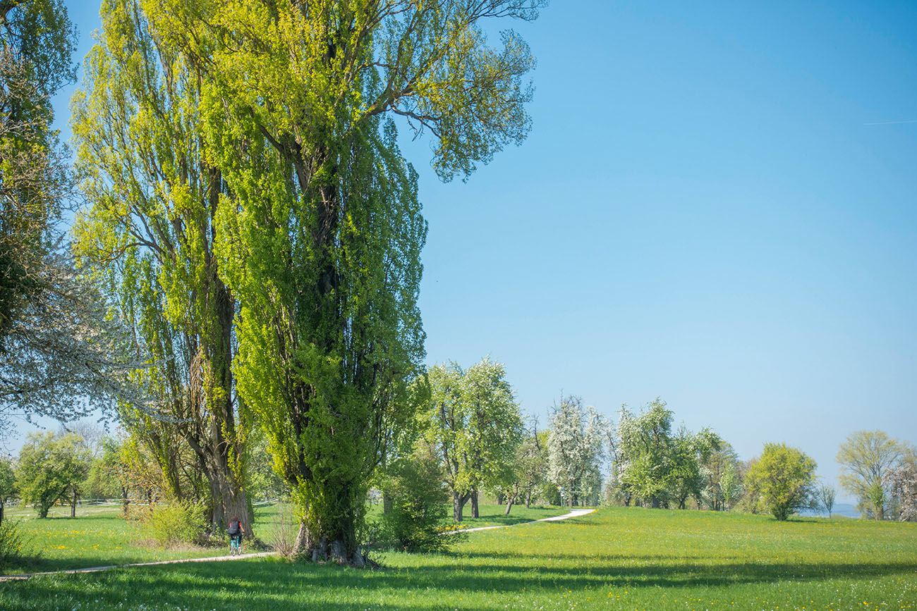 Landschaftlich schöner Weg 