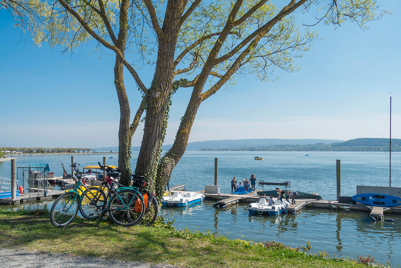 Rast bei Allensbach 