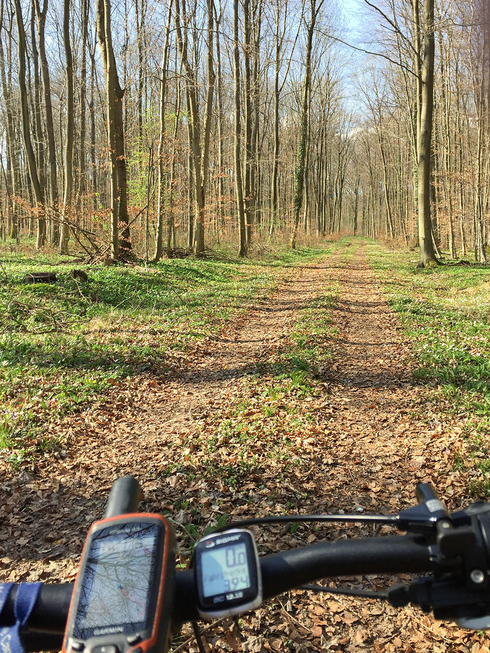 Endlich mal wieder mit dem Rad unterwegs 