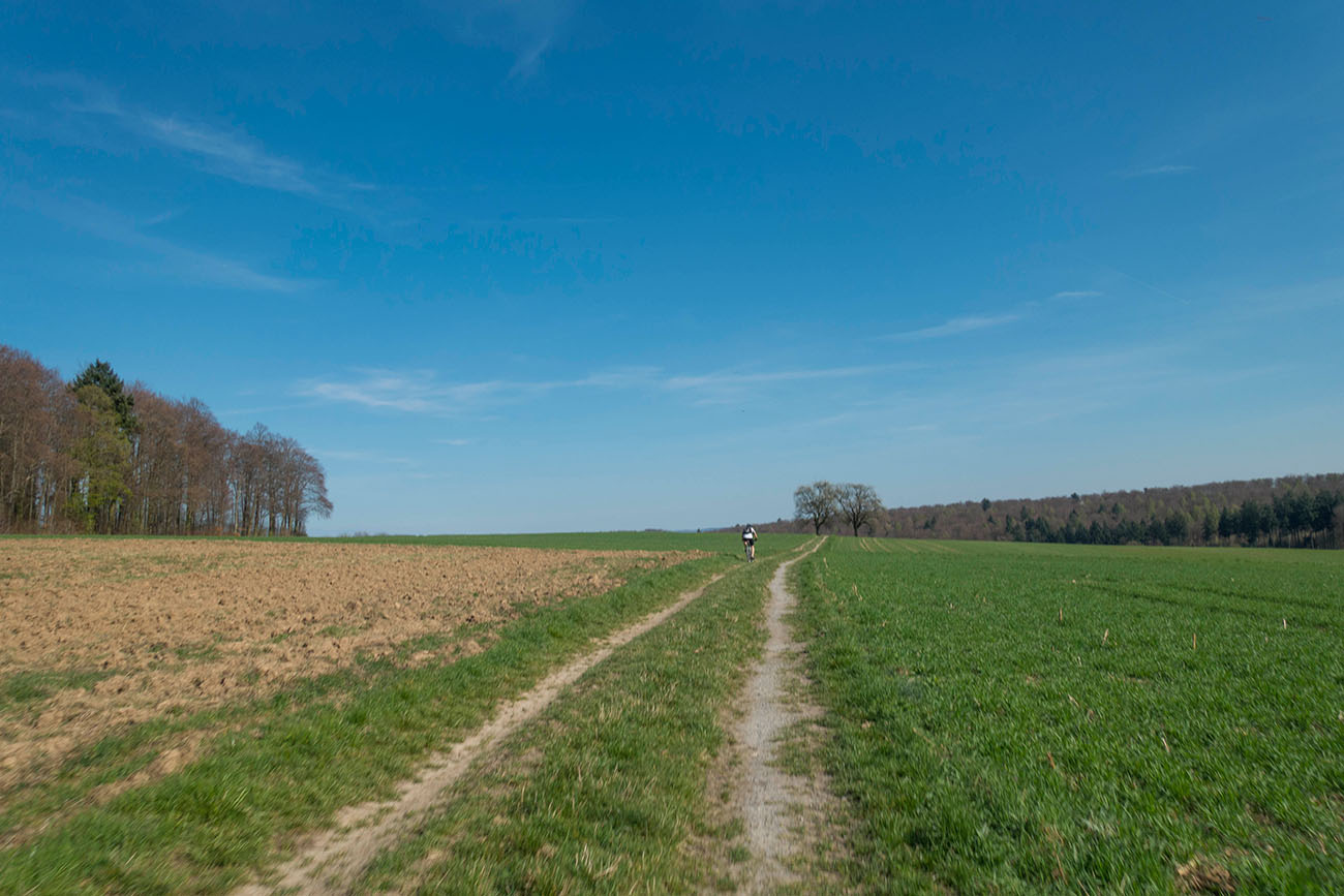 In den Kraichgauhügeln 