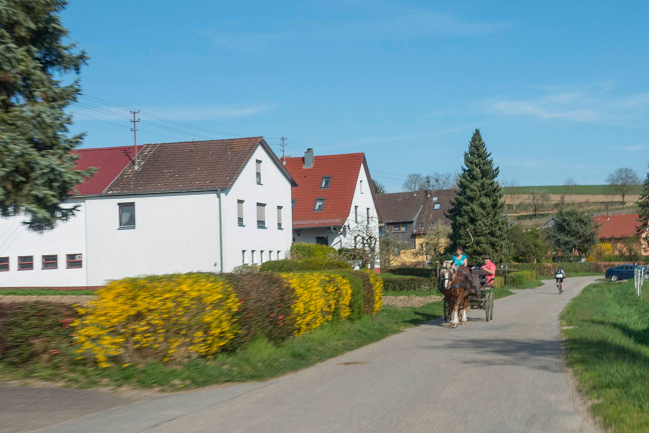 Idylle in Sallenbusch 