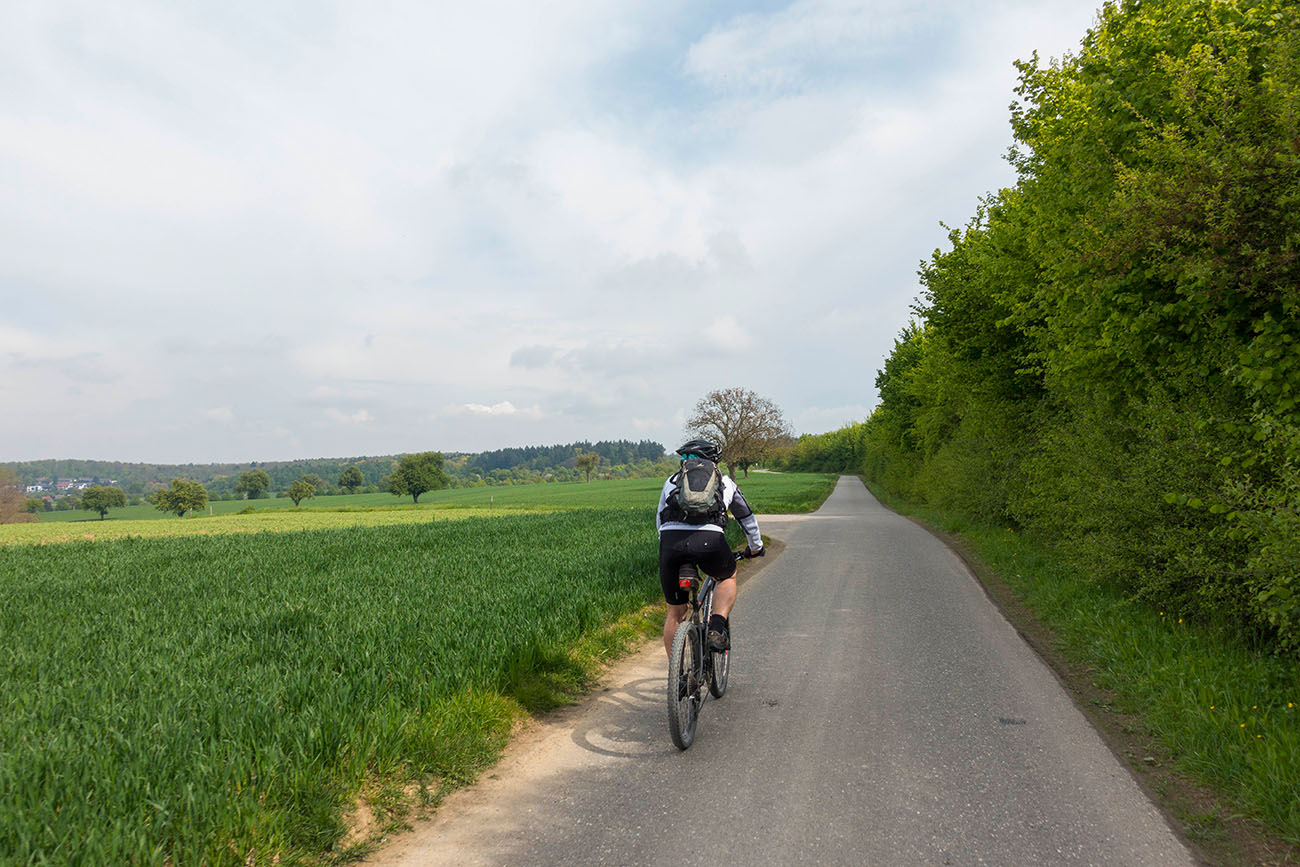 Wirtschaftsweg bei Palmbach 