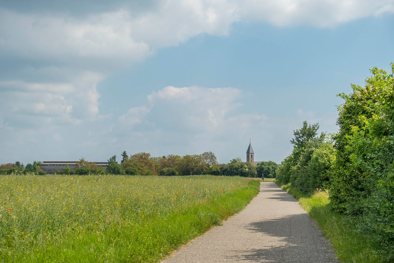 Radweg bei Untergrombach 