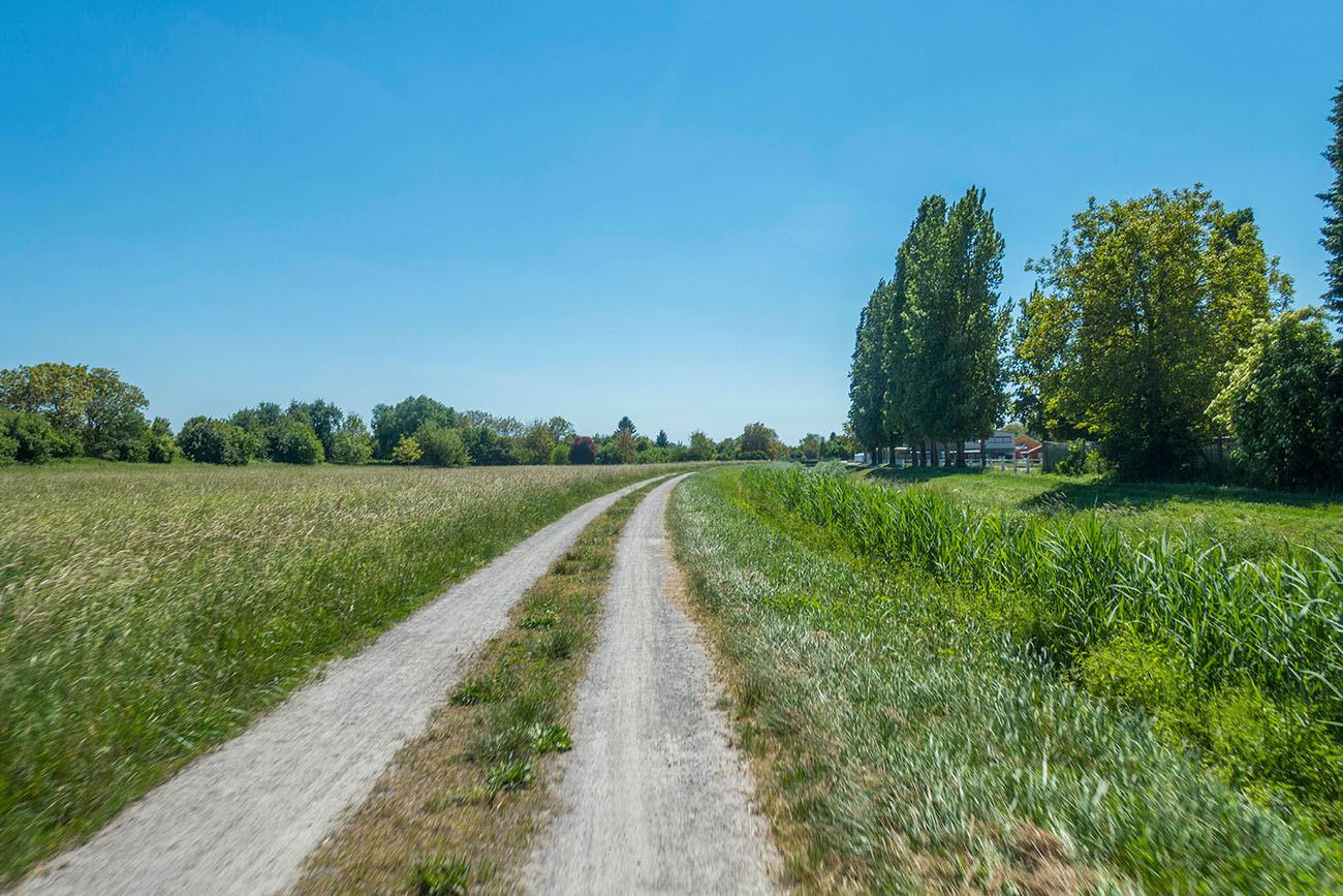 Feldweg nach Spöck 