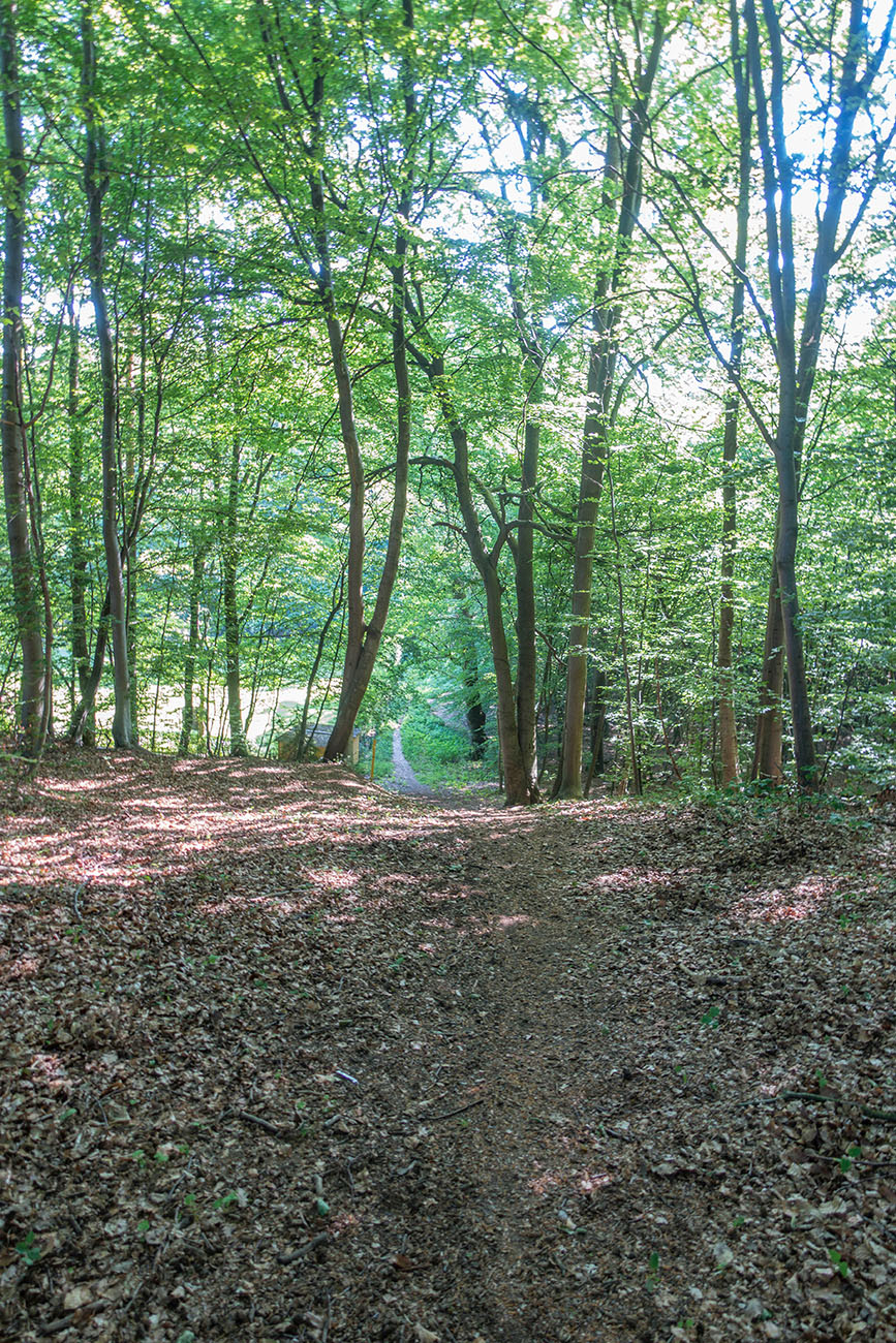 ... bis ein steiler Berg kommt (Blick zurück, den muss man hochfahren) 