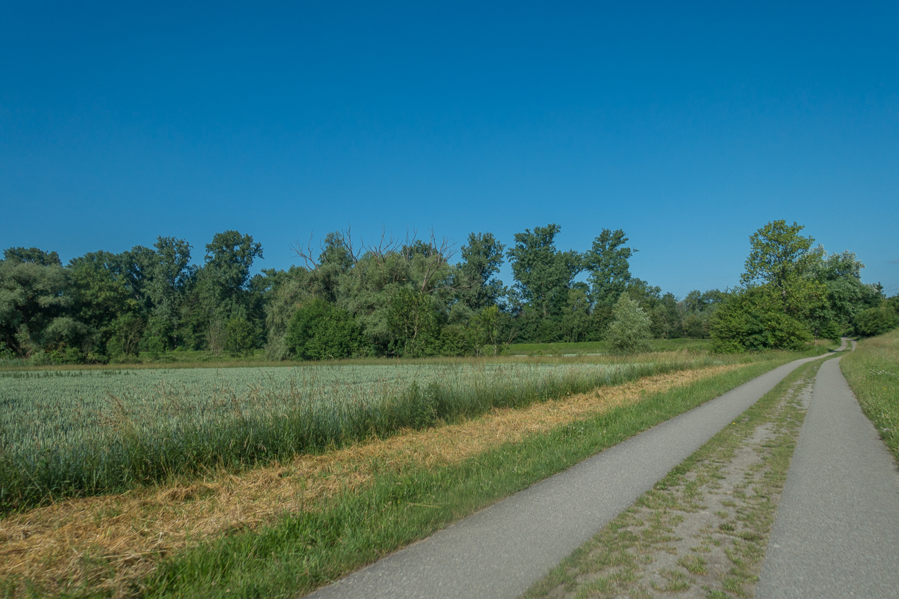 Wirtschaftsweg an der Alb