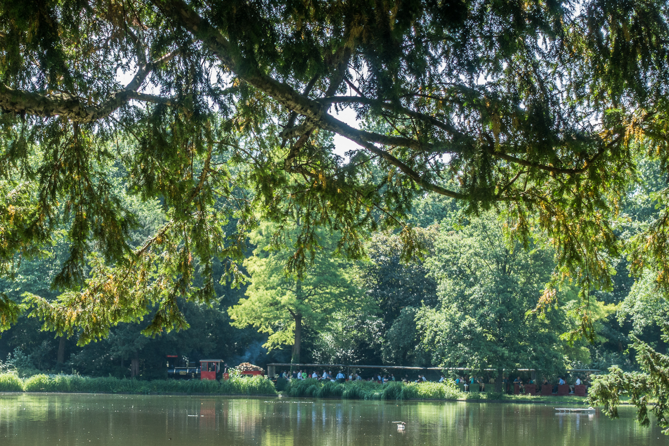 Dampflok im Schlosspark