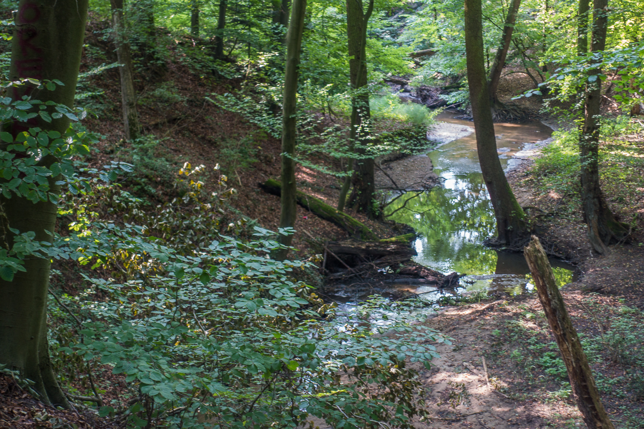 Der Otterbach