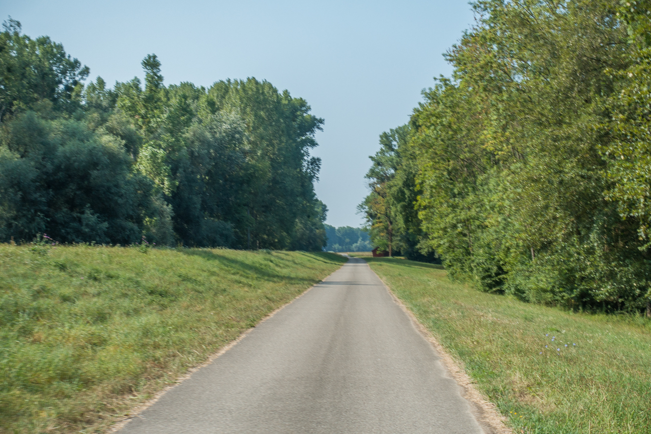 Auf dem Rheindamm