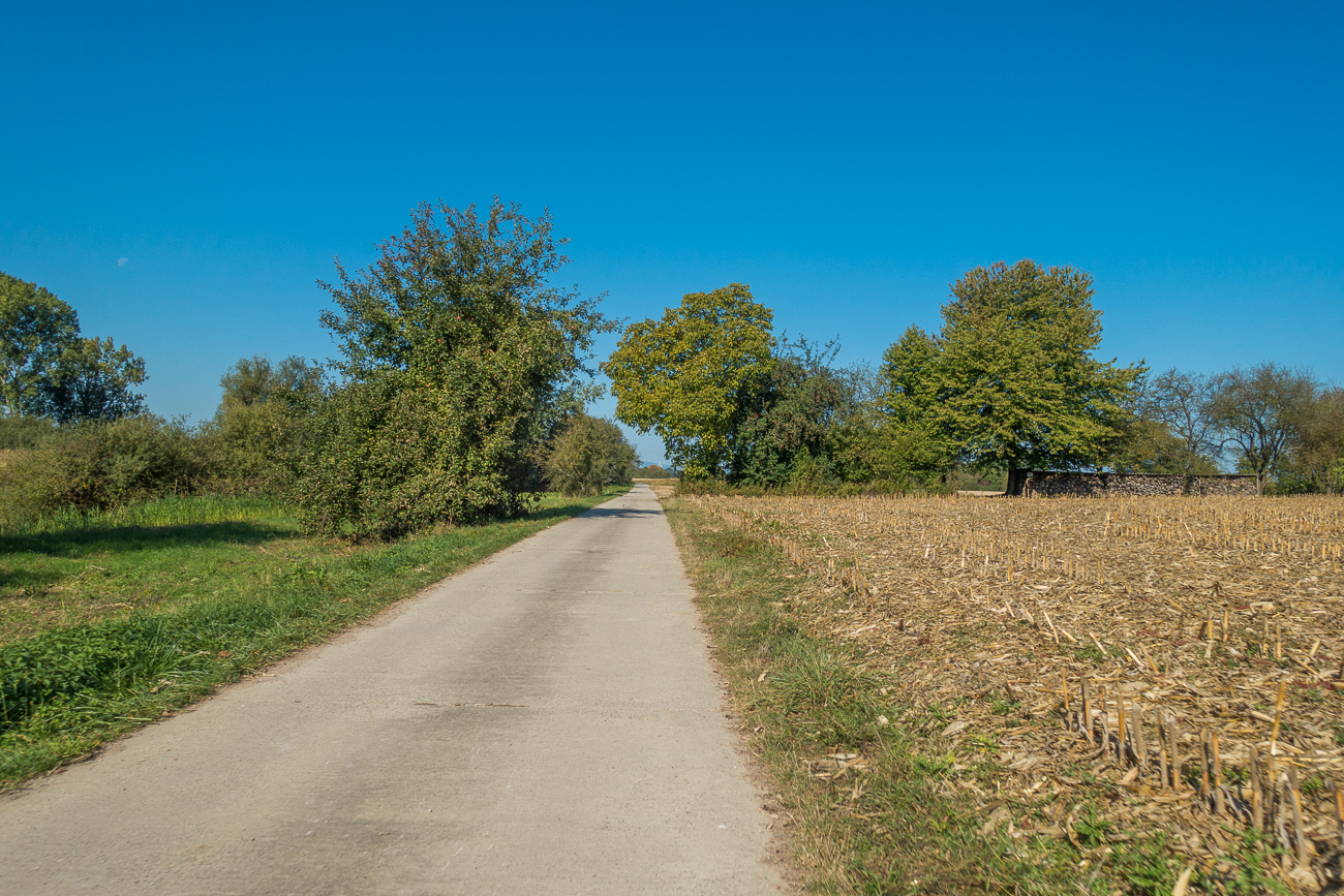 ... nach Neupotz