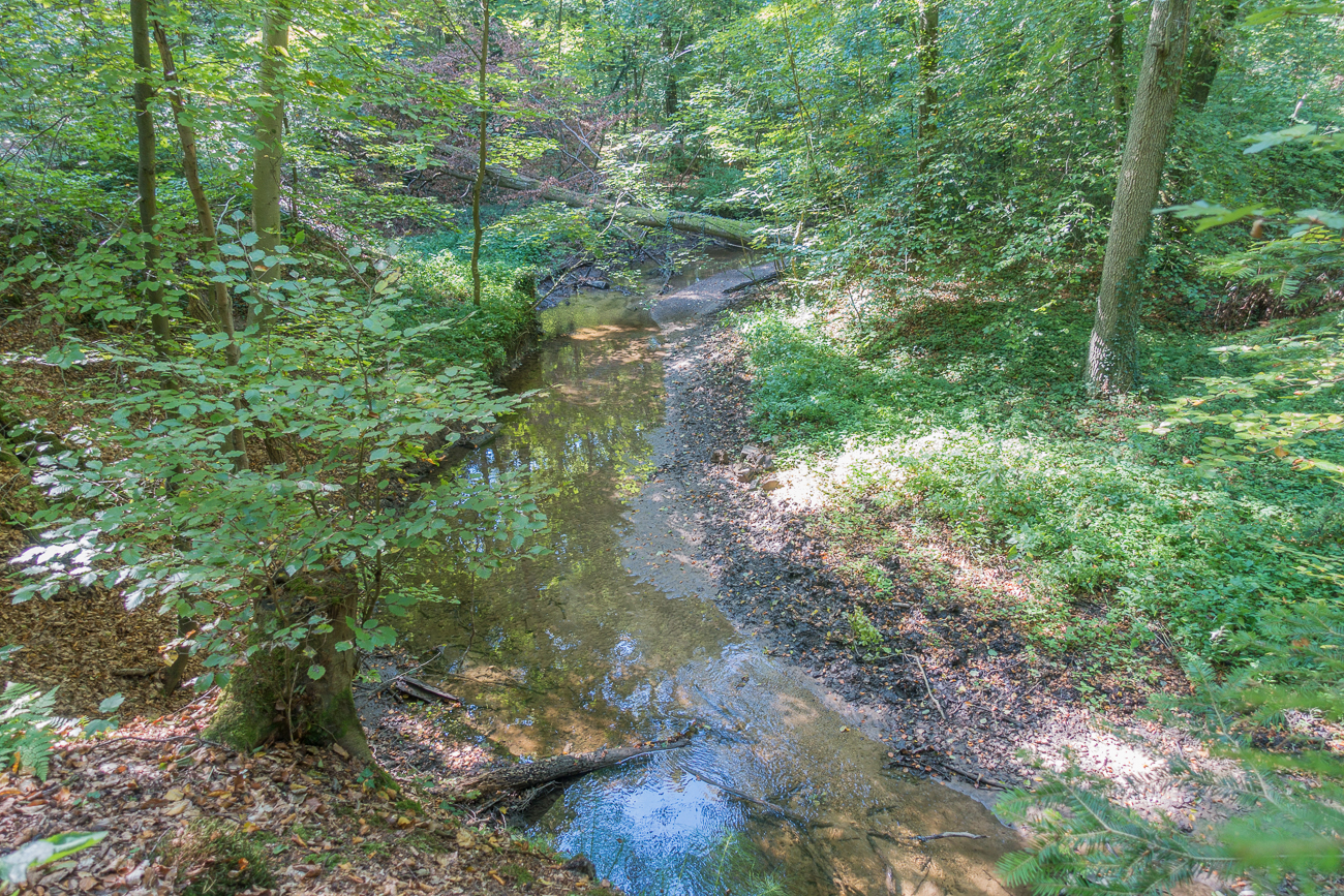 Am Otterbach