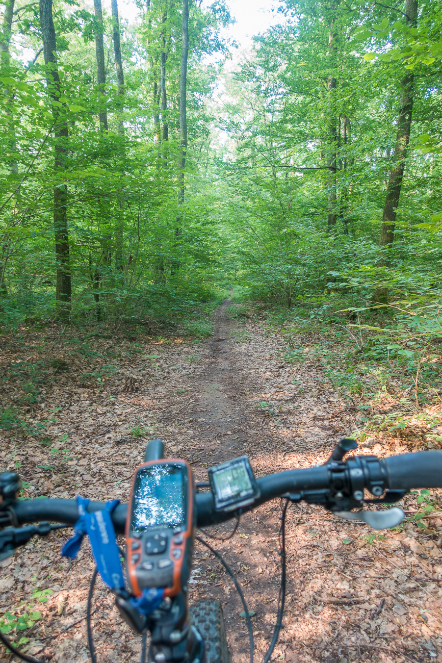 Diesmal sind auch einige Singletrails dabei ;-)