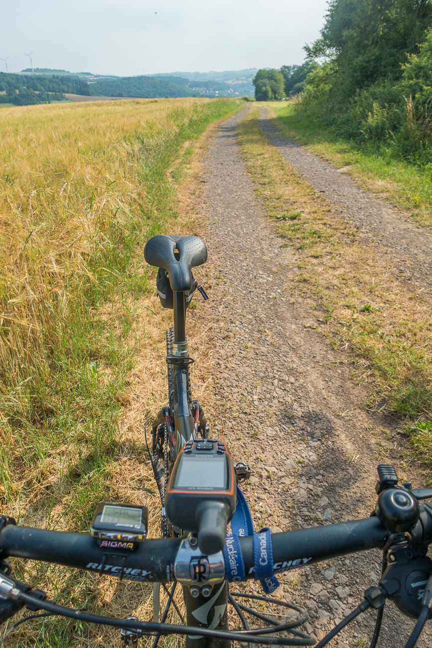 Auf einem Feldweg