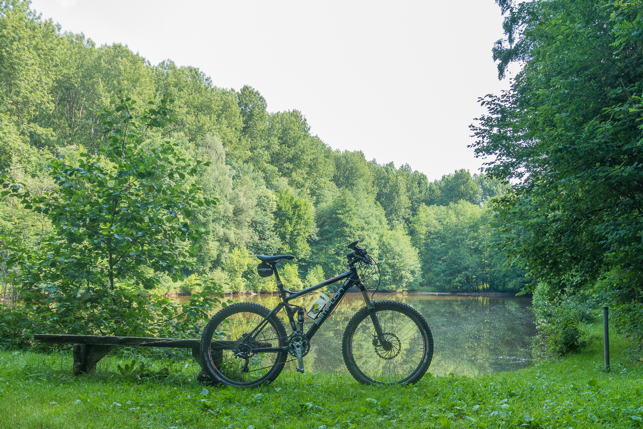 Am Teich