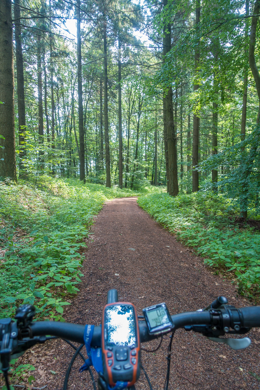 Waldweg