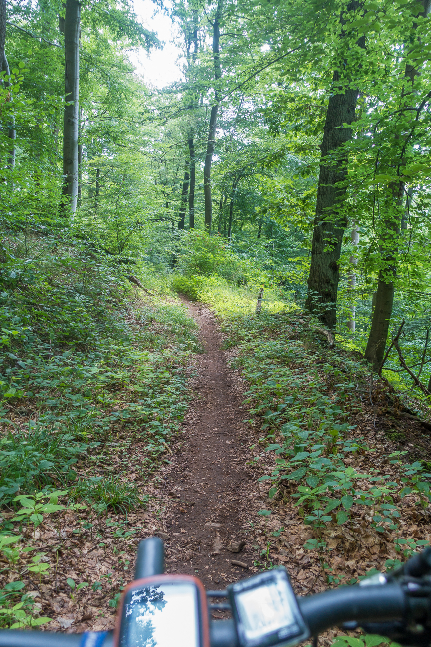 Singletrail
