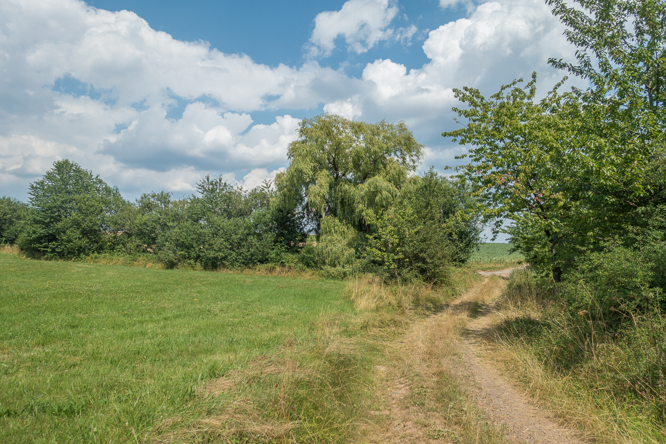 Wiesenweg durch die Felder