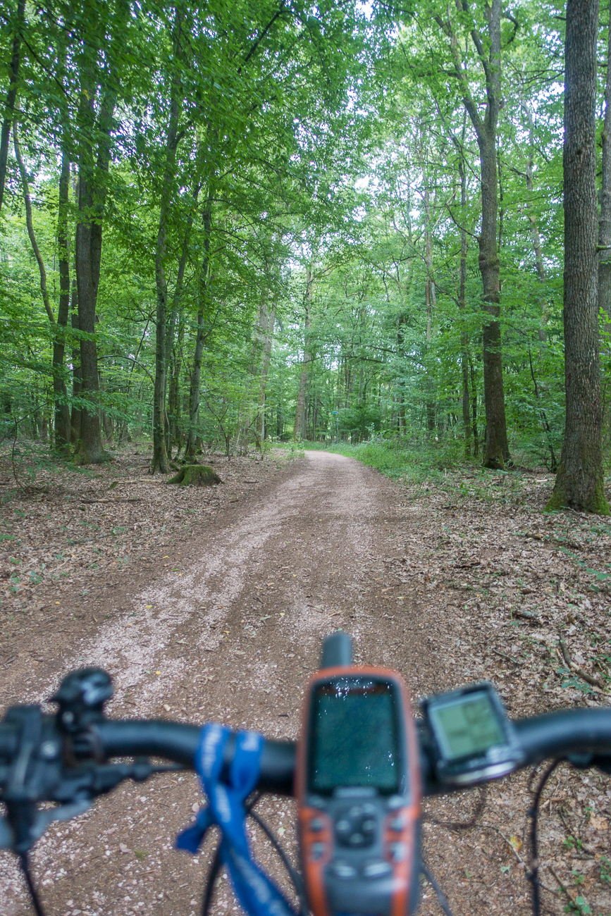 Ab durch den Wald