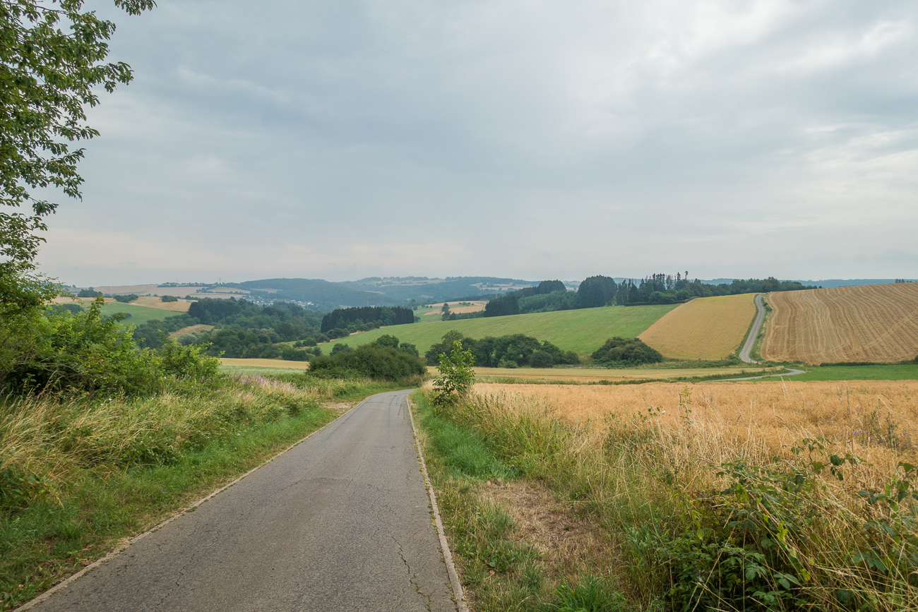 Straße zwischen den Feldern