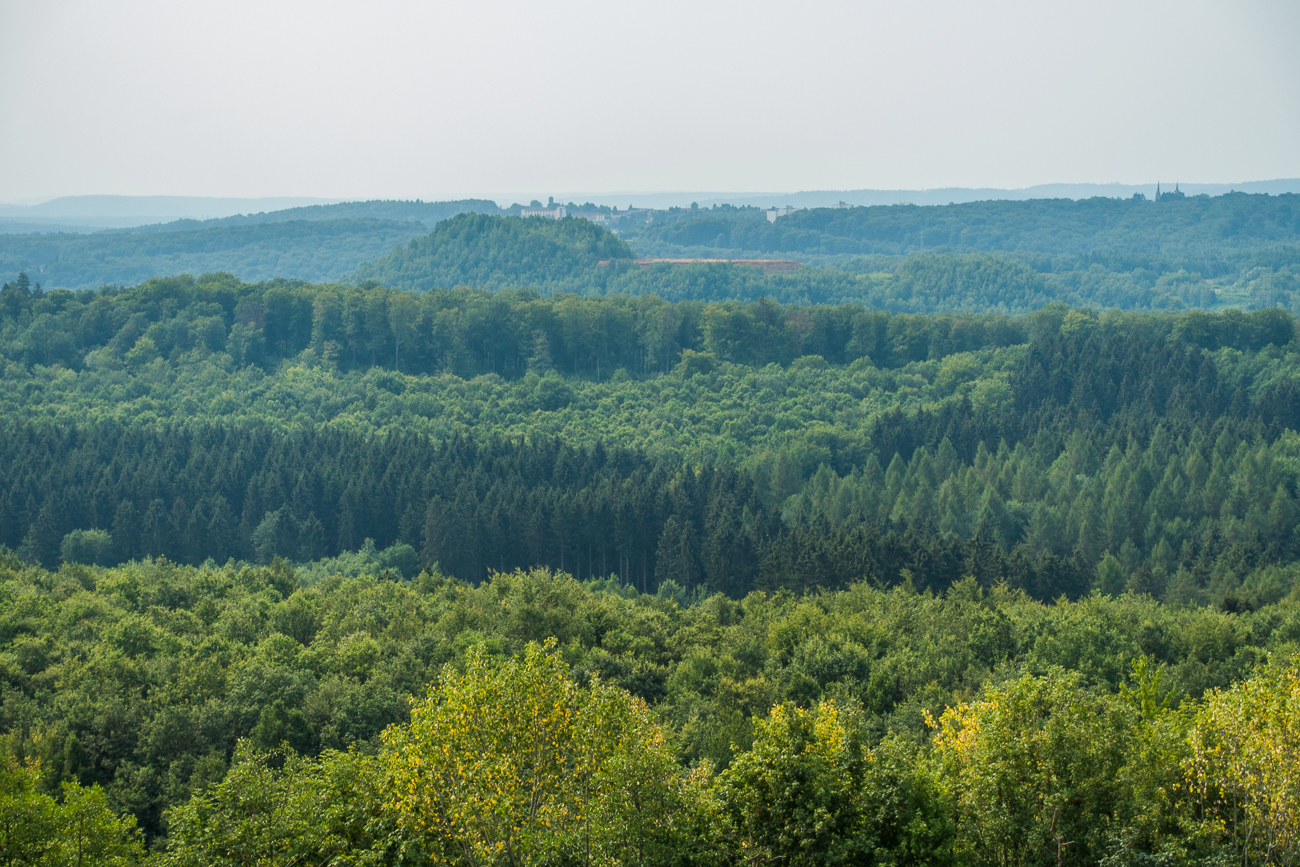 Blick von der "Bergmanns Alm" auf den CO2 Biomassespeicher