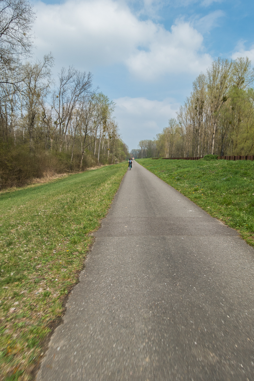Auf dem Rückweg geht es wieder stur geradeaus