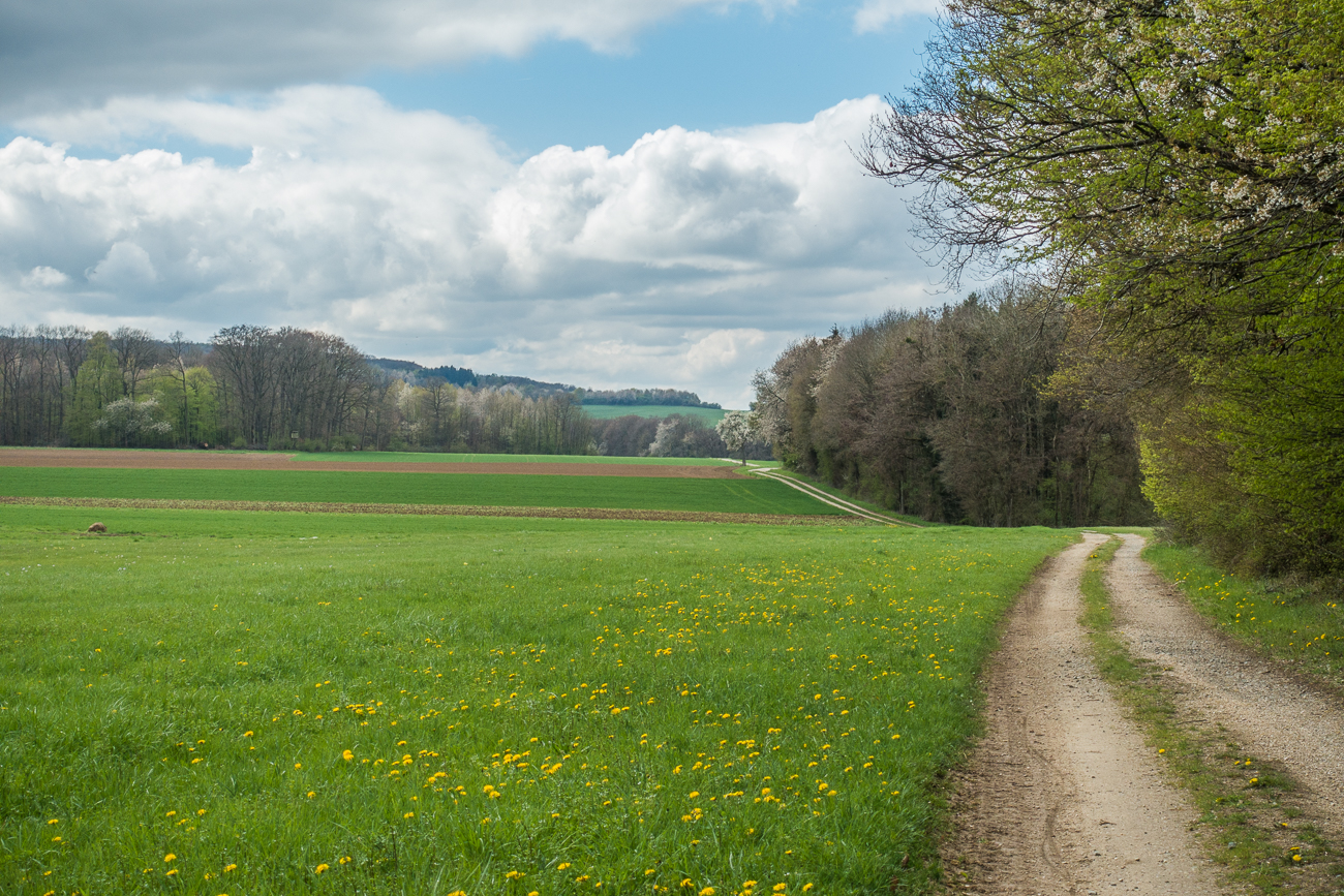 Feldweg auf der Höhe