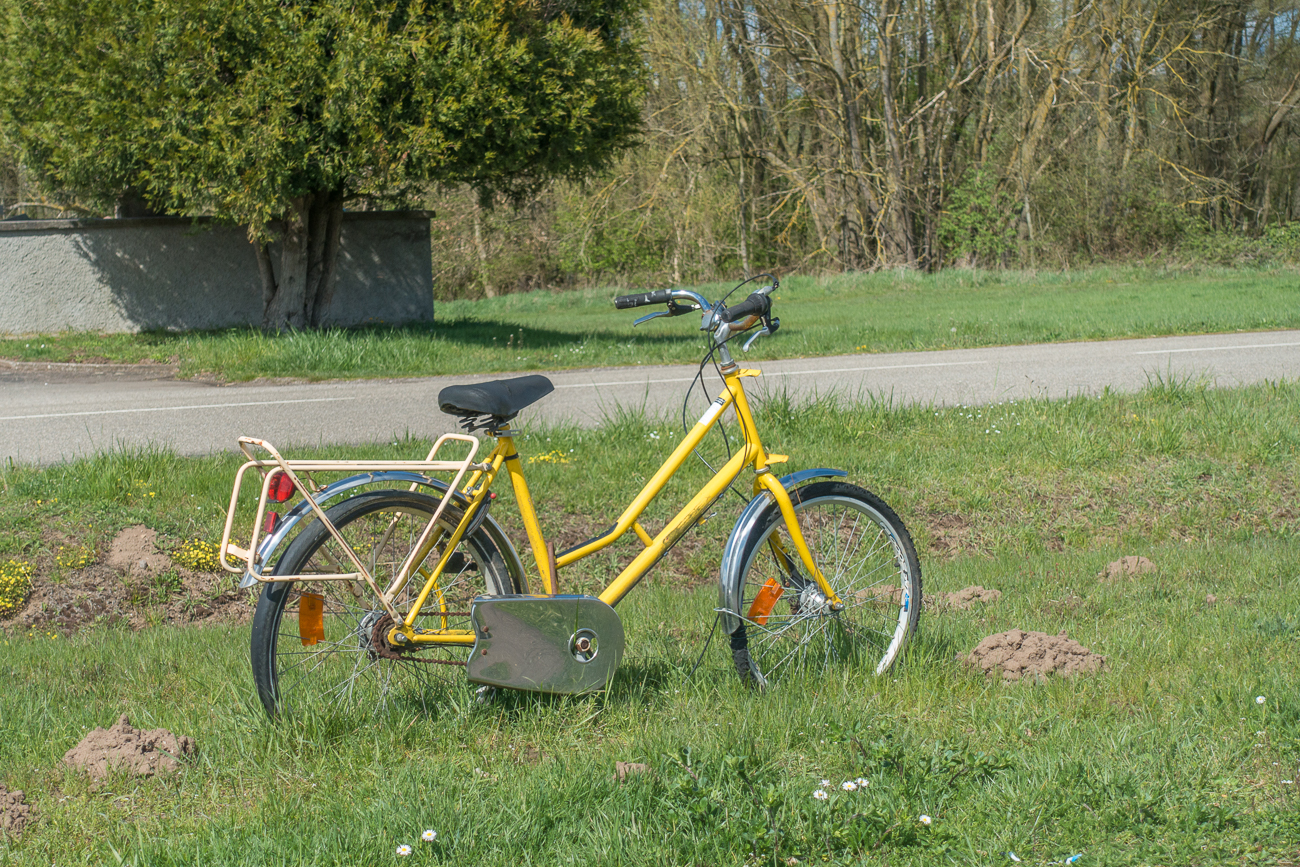 Überall stehen Fahrräder ...