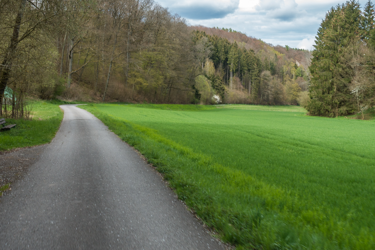 Abfahrt ins Tal, nun ist Lautzkirchen nicht mehr weit