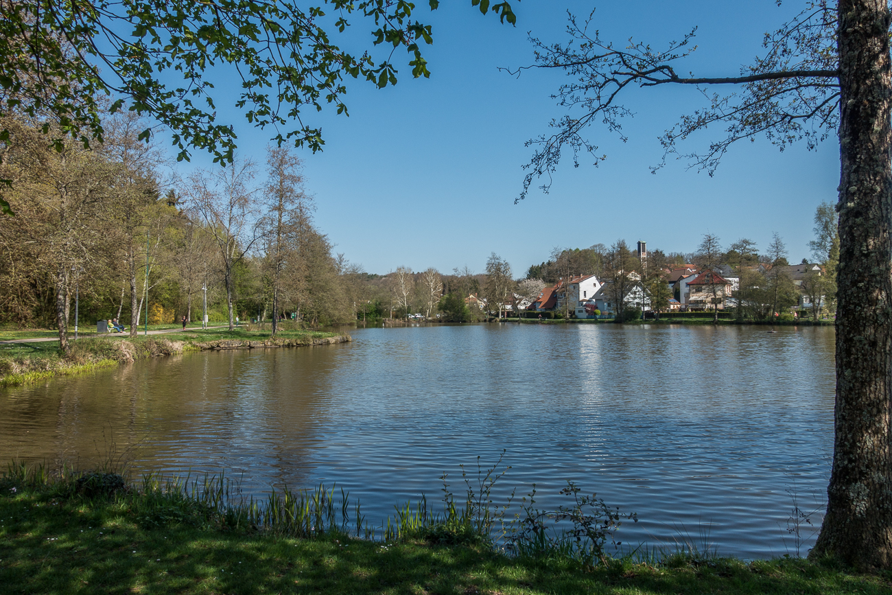 Am Jägersburger Weiher