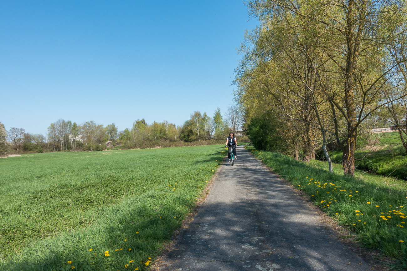 Weg am Erbach