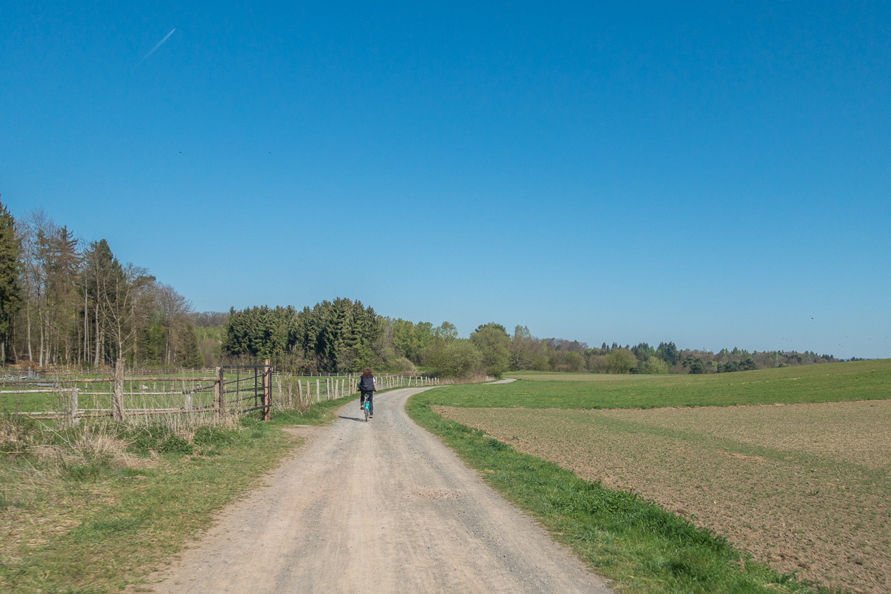 Über Feldwege fahren wir zum Biotop Beeden