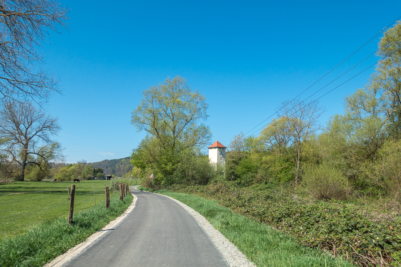 Der Weg schlängelt sich zwischen Pferdeweiden ...