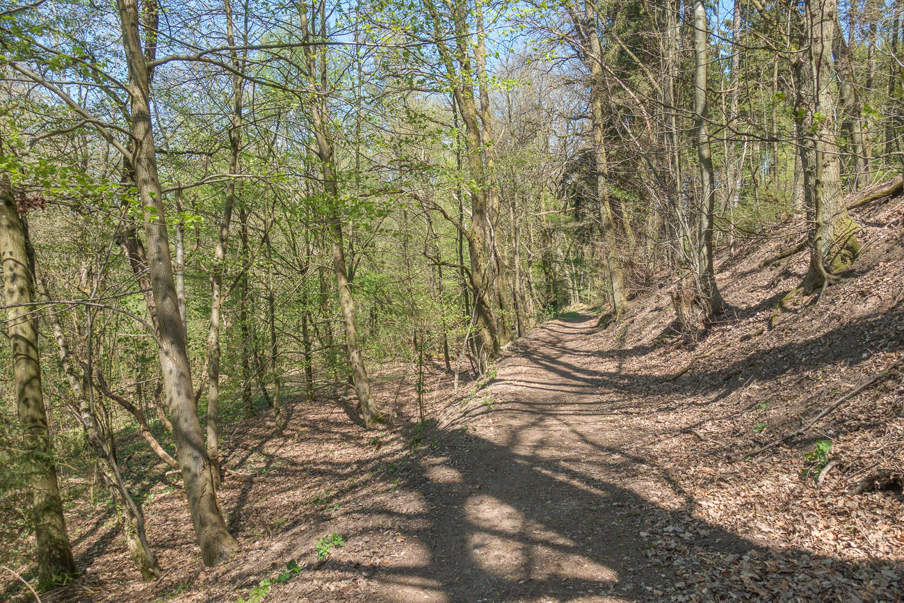 Durch den Wald bei der Spieser Mühle