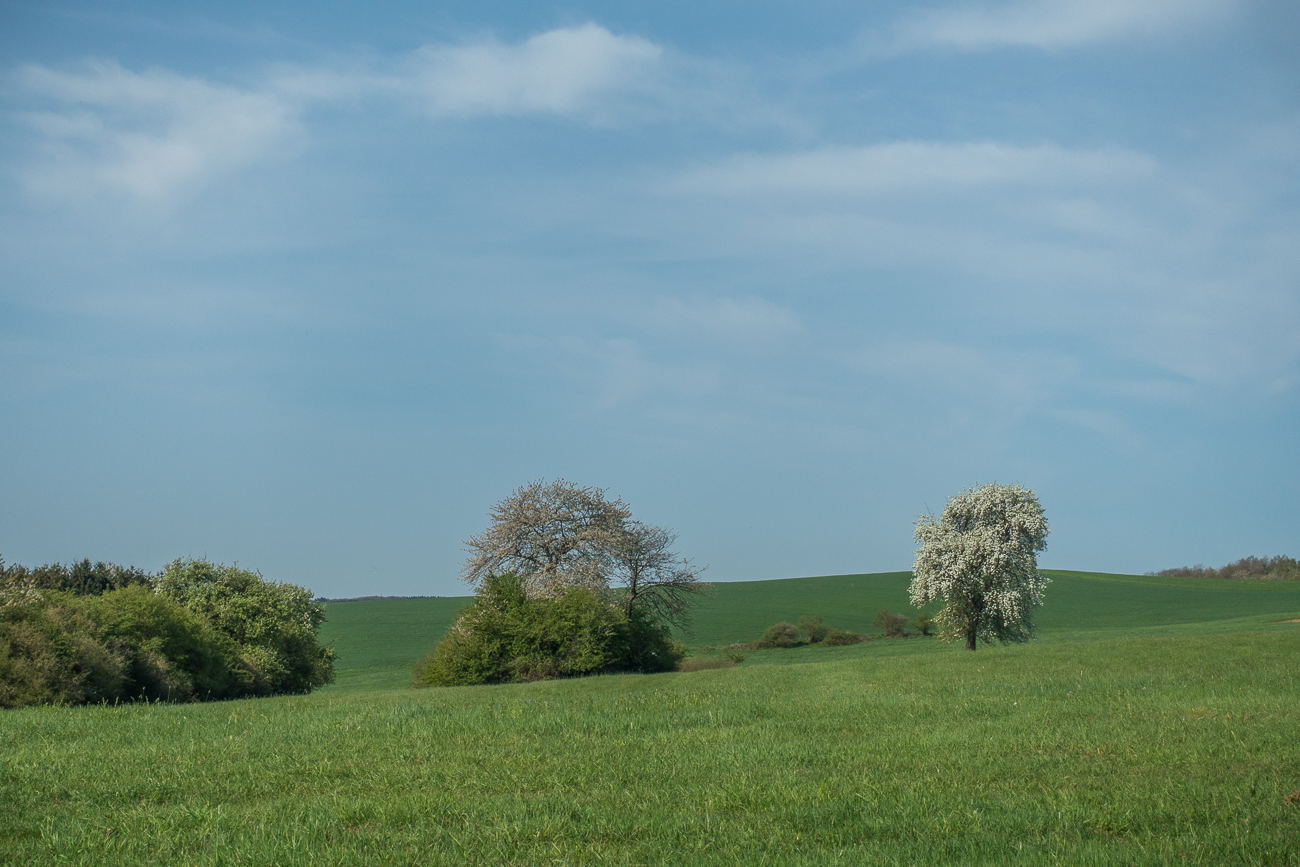 ... durch die saarländische Hügellandschaft