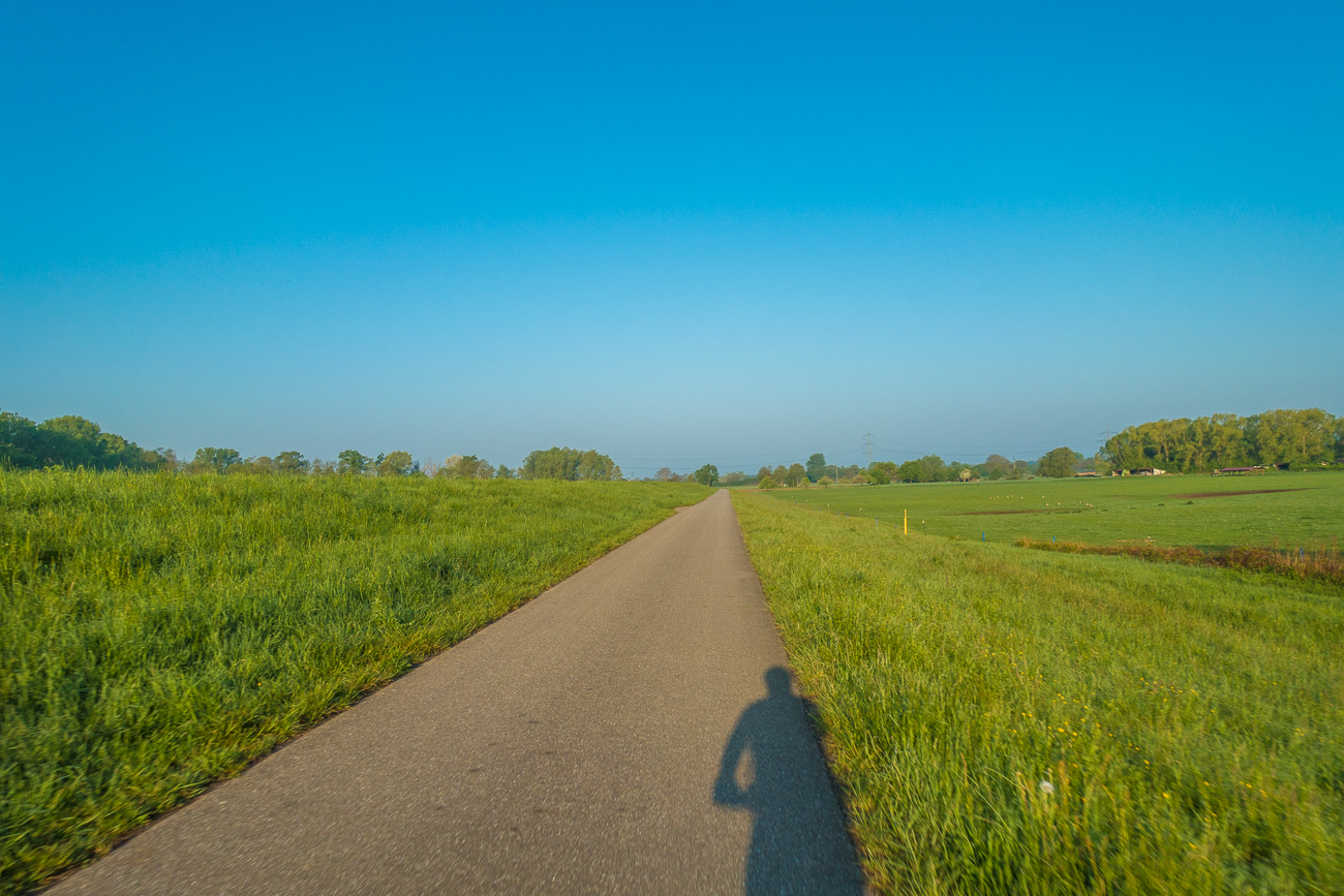 Bei kühlen 7°C geht es am Rheindamm entlang