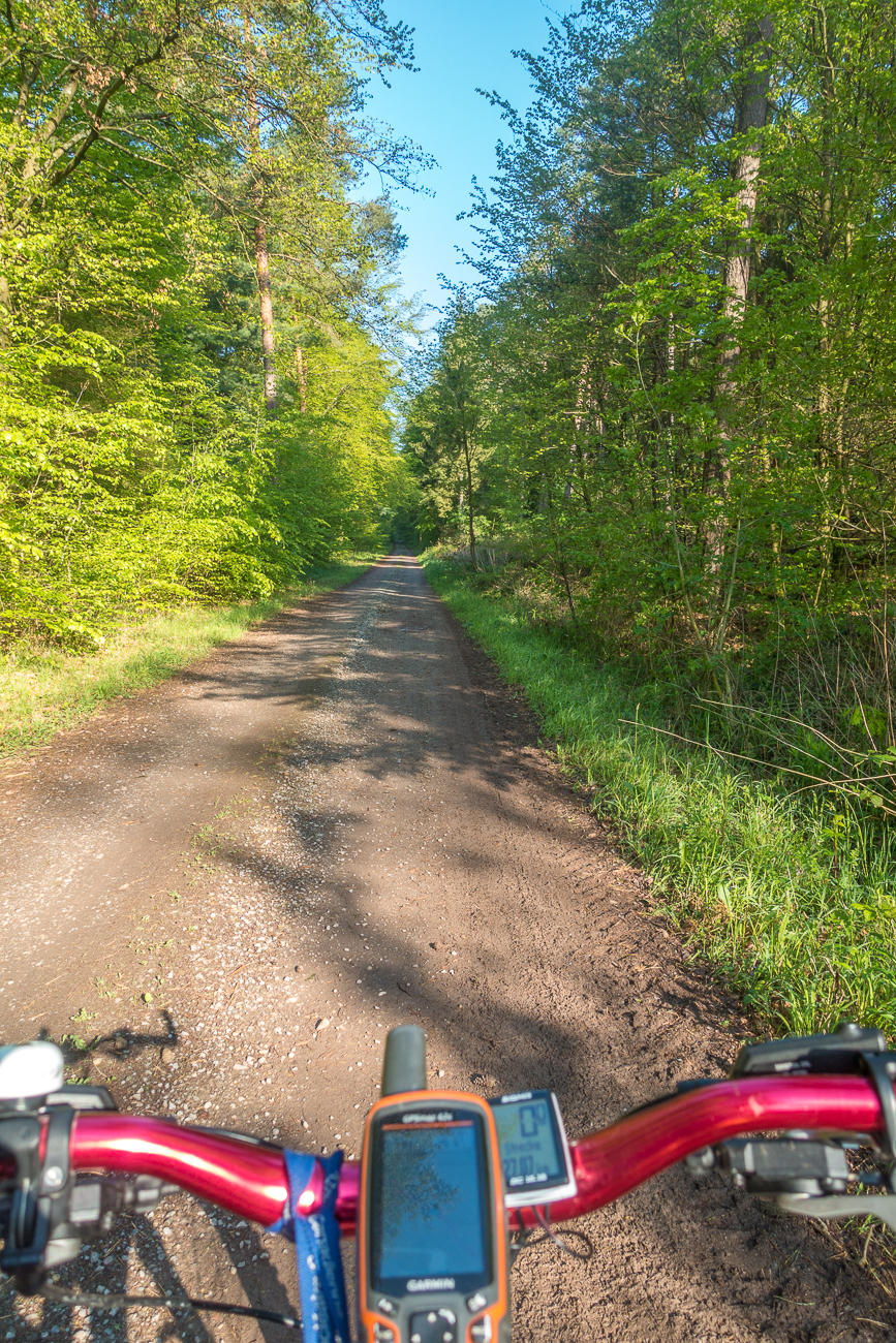 Nun geht es eine Weile auf einem Waldweg nach Frankreich hinein weiter