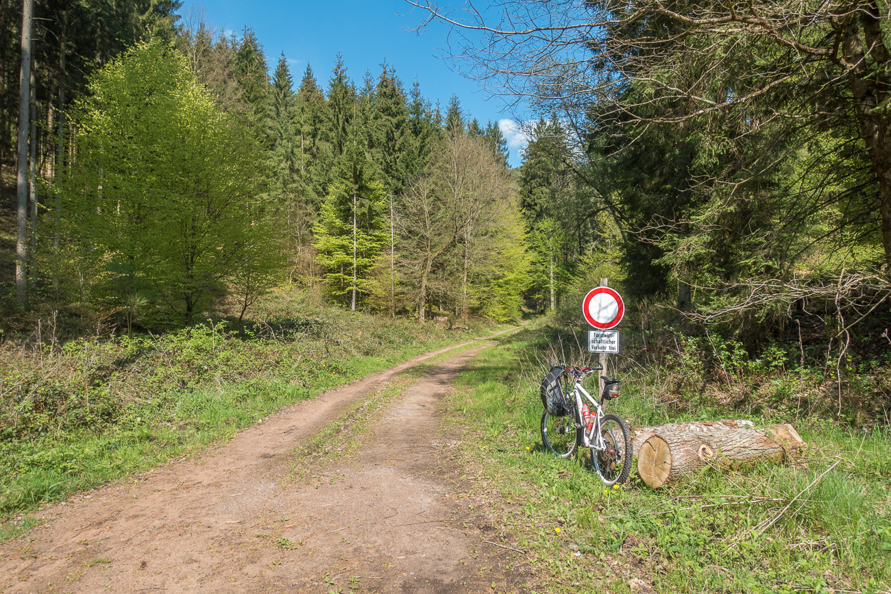 Zweite Pause vor dem Anstieg im Wald