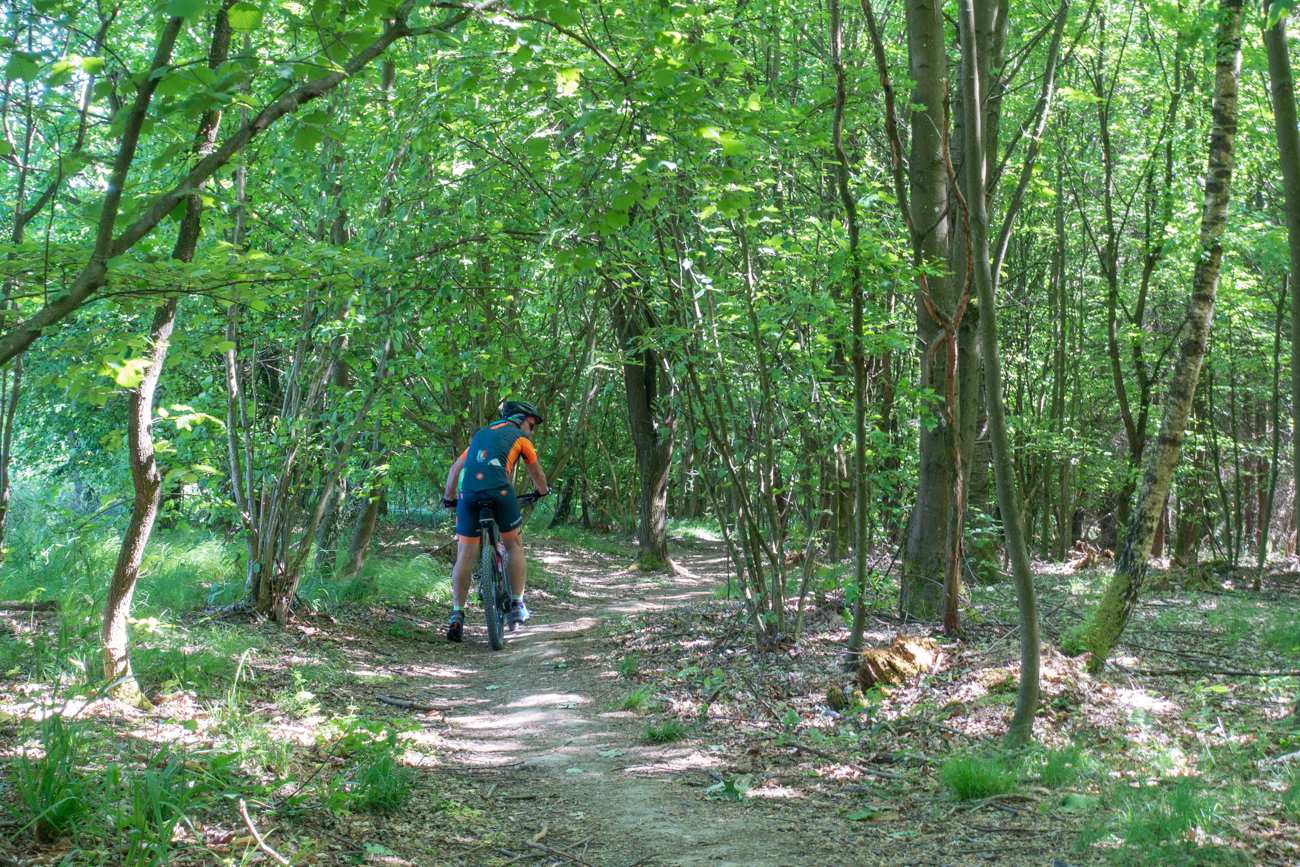 Einen schönen Singletrail haben die "älteren Herren" natürlich nicht verschmäht ;-)