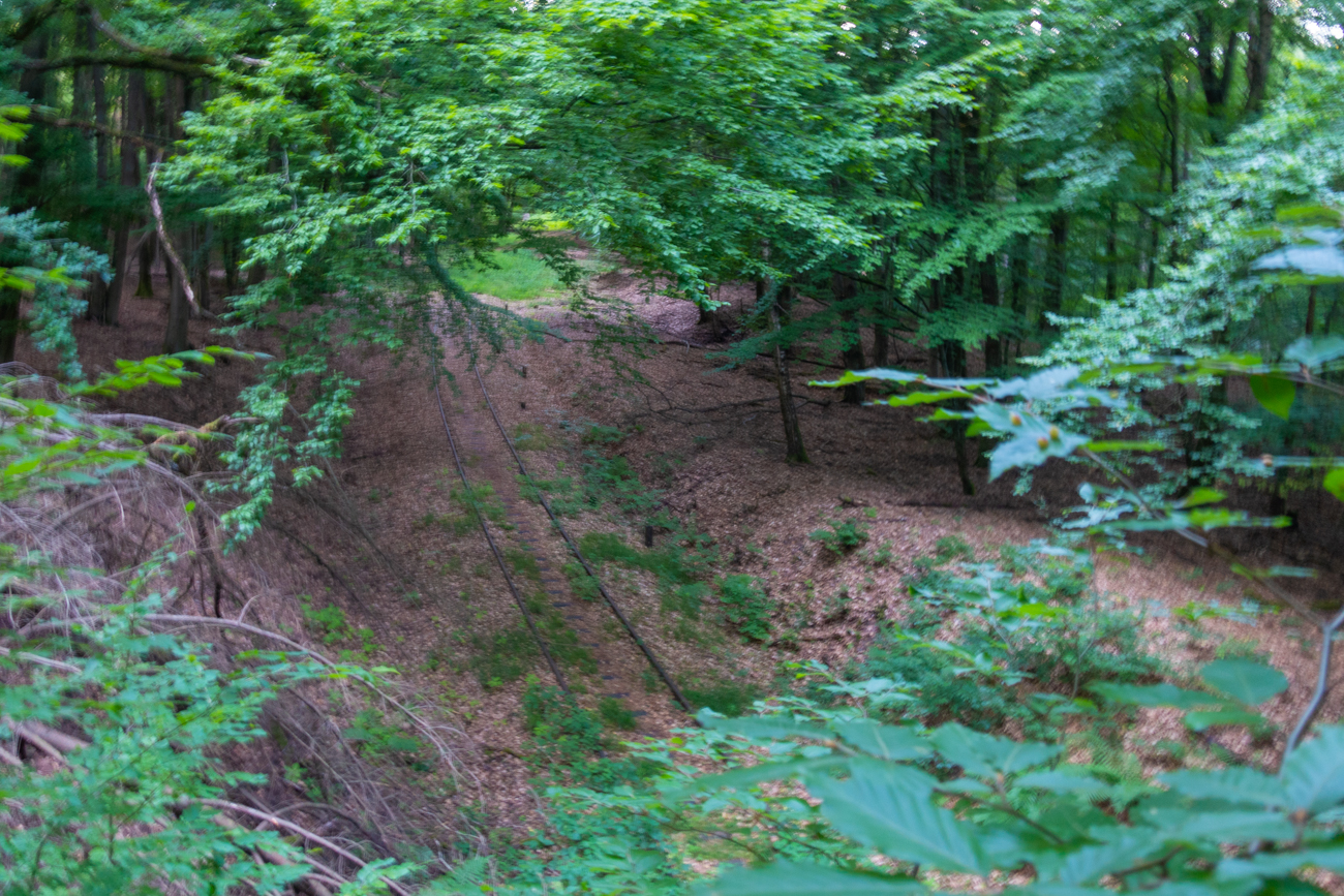 Zugewachsene Gleise der Aartalbahn