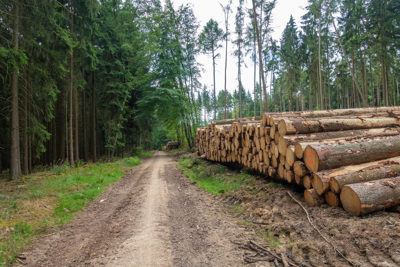 Und wieder Holz, es scheint ein kalter Winter zu werden ;-)