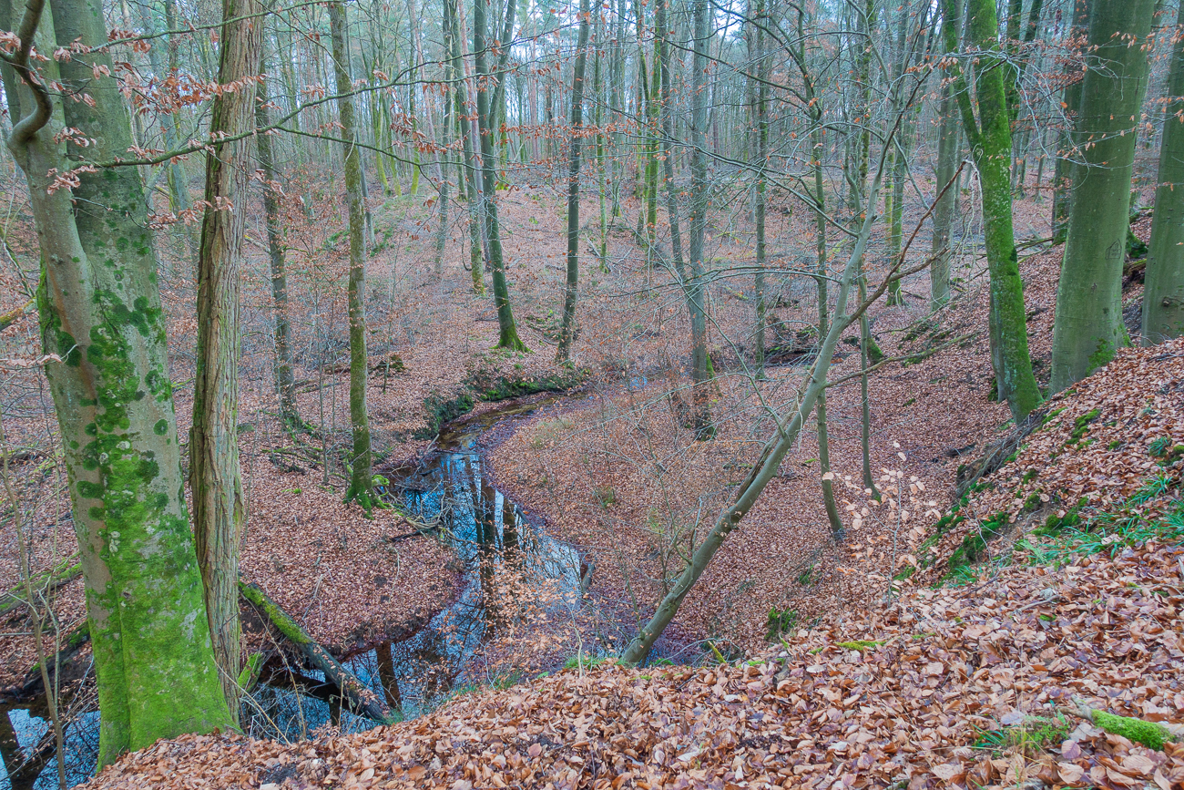 Noch sind die hier üblichen Schnaken nicht aus dem Wasser ;-)