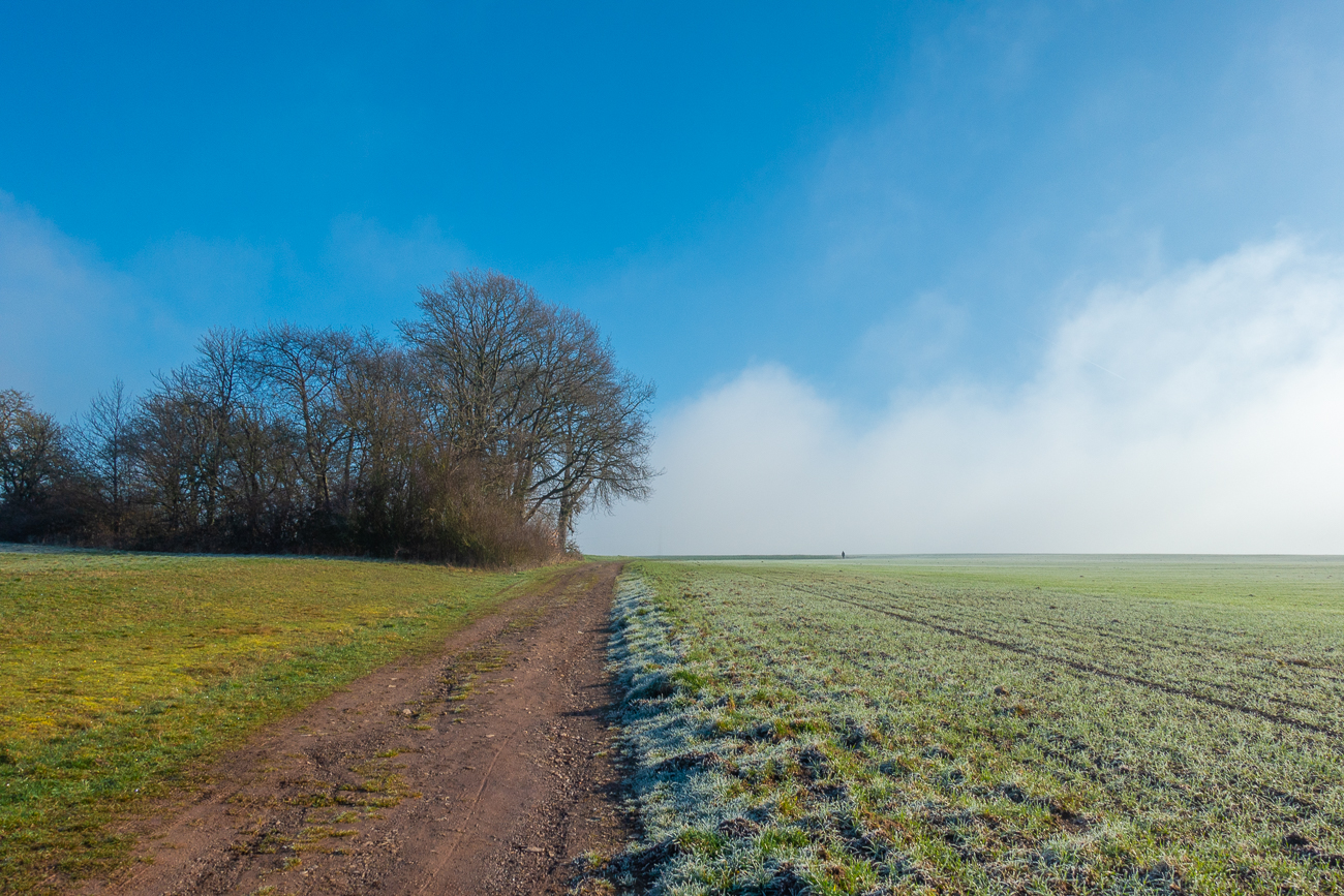 Schönes Wetter, bis auf den Nebel