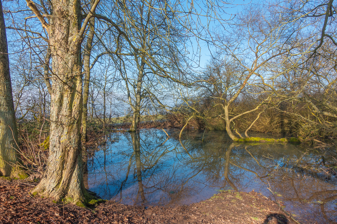 Kleiner Weiher