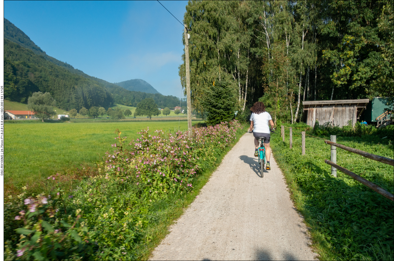 Blumengesäumter Weg